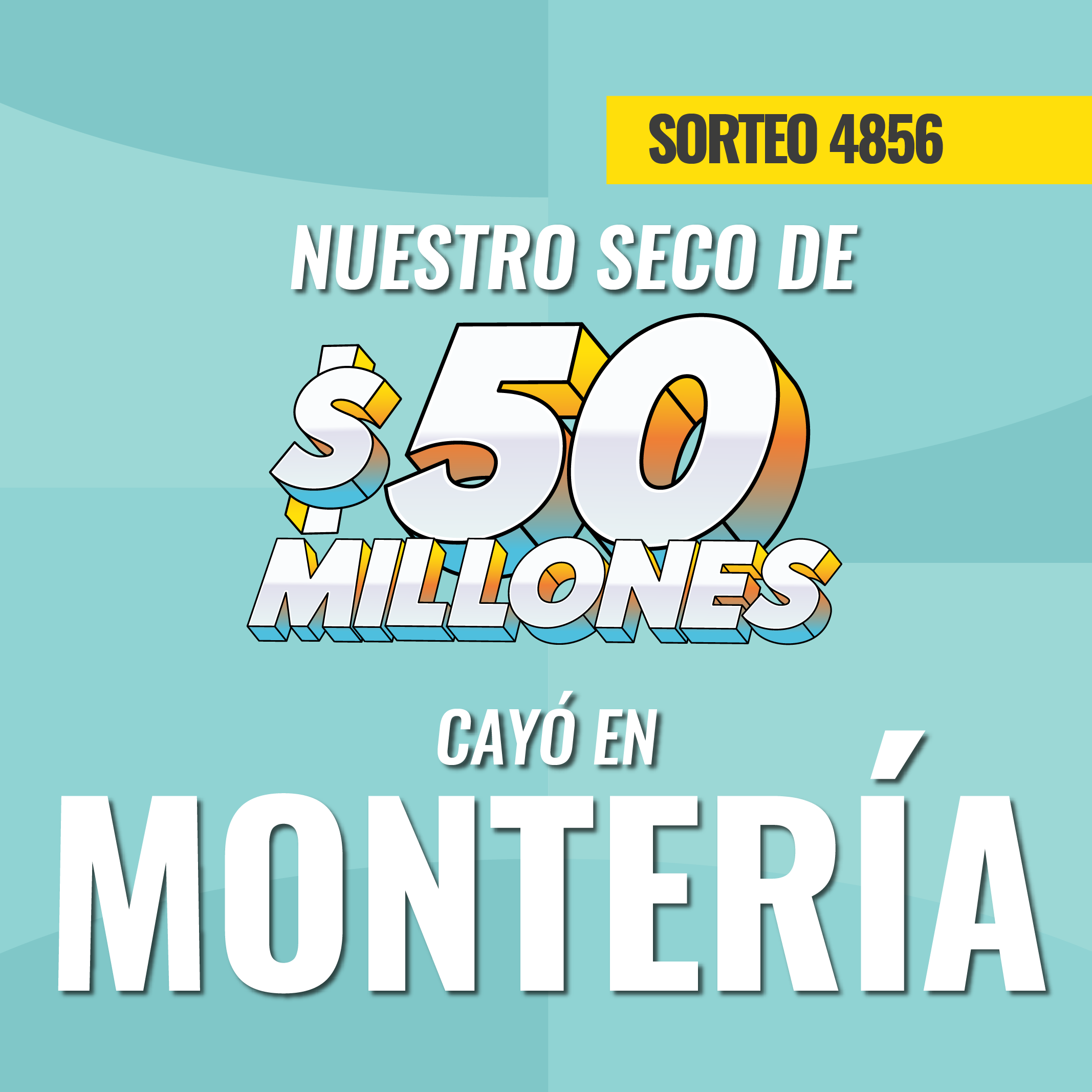 CAYÓ SECO DE 50 4856 MOBILE Mesa de trabajo 1 copia 11
